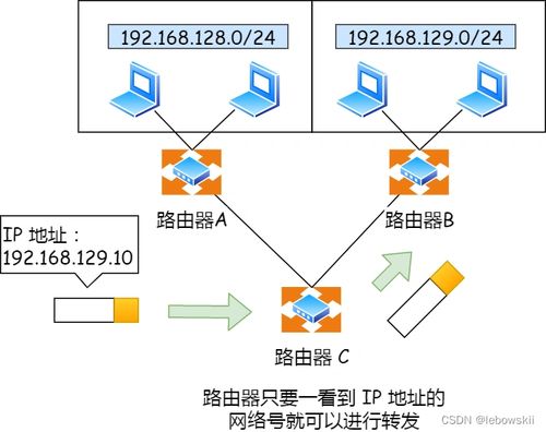 计算机网络与计算机 共生共荣的数字基石